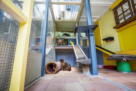 Photo of property in 31 Te Puna Quarry Road, Minden, Tauranga, 3179