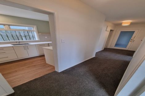 Photo of property in 1/117 Austin Street, Mount Victoria, Wellington, 6011