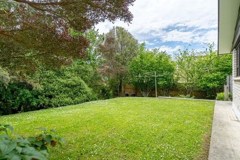 Photo of property in 161 Scott Street, Waverley, Dunedin, 9013