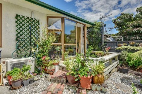 Photo of property in 11/17 Waimea Road, Nelson South, Nelson, 7010