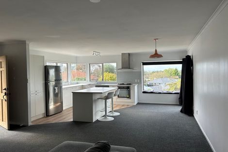 Photo of property in 15b Ridout Street, Maeroa, Hamilton, 3200