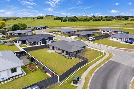 Photo of property in 33 Belgrove Drive, Waipukurau, 4200