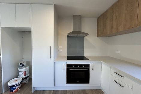 Photo of property in 45c Ryan Street, Phillipstown, Christchurch, 8011
