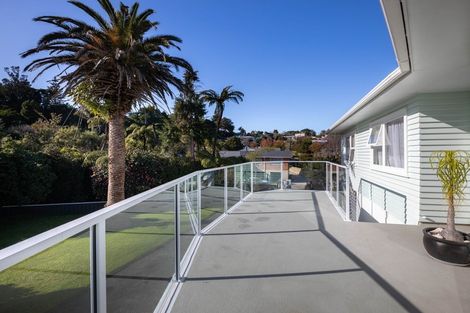 Photo of property in 28 Elizabeth Place, Ferndale, New Plymouth, 4310