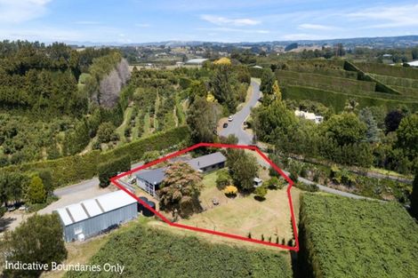 Photo of property in 26a Banks Drive, Aongatete, Katikati, 3181