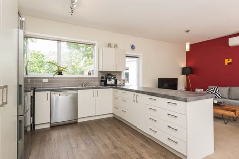 Photo of property in 60 Alexandra Street, Richmond, Christchurch, 8013