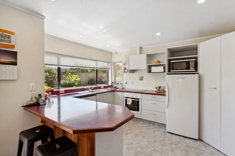 Photo of property in 223 Heatherlea East Road, Levin, 5571
