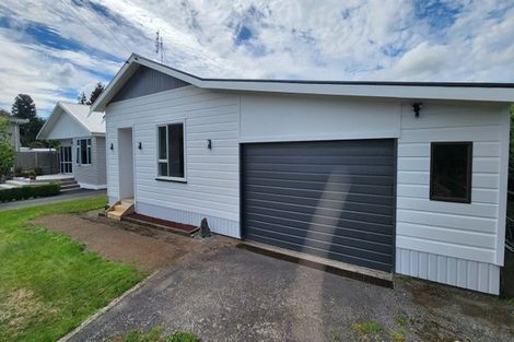 Photo of property in 14 Brecon Road, Stratford, 4332