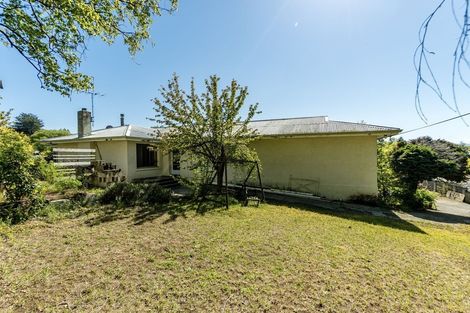 Photo of property in 61 Manuherikia Road, Alexandra, 9320