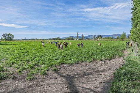 Photo of property in 41 Poplar Lane, Lincoln, Christchurch, 7674