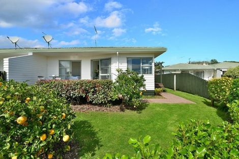 Photo of property in 1/12 Miro Street, Helensville, 0800