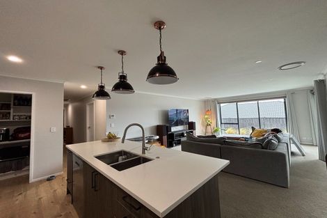 Photo of property in 157 Harriet Johnston Drive, Pokeno, 2402