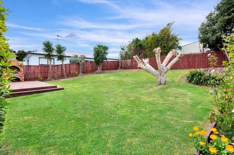 Photo of property in 6 Wendell Place, Greenlane, Auckland, 1061