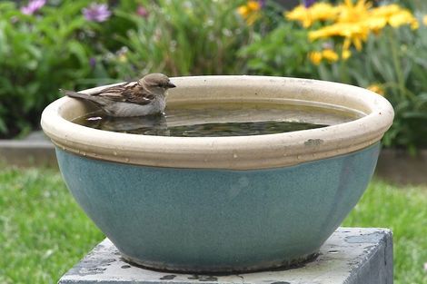 Photo of property in 5 Leggett Lane, Red Beach, 0932