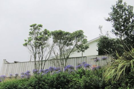 Photo of property in 5 Cheesman Street, Brooklyn, Wellington, 6021