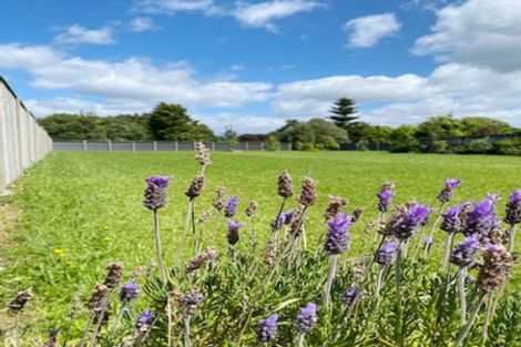 Photo of property in 4 Ngaio Street, Levin, 5510
