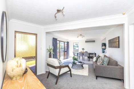 Photo of property in 33 Gilbass Avenue, Hamilton Lake, Hamilton, 3204