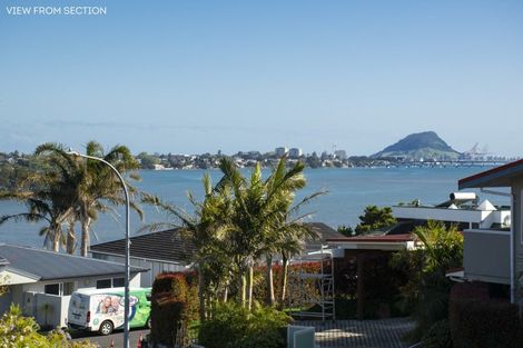 Photo of property in 34 Vine Avenue, Maungatapu, Tauranga, 3112
