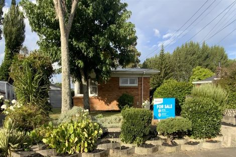 Photo of property in 115 Fitzroy Avenue, Fitzroy, Hamilton, 3206