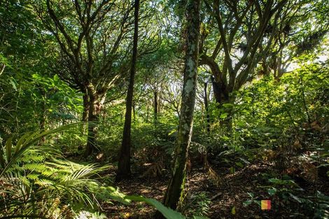 Photo of property in 166b Heard Road, Waihi, 3681