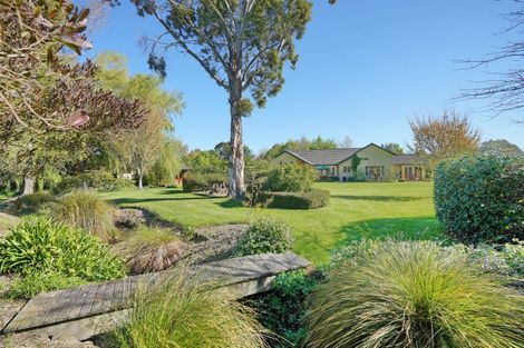 Photo of property in 10 Newton Place, Amberley, 7410