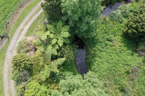 Photo of property in 167 Willoughby Road, Tahawai, Katikati, 3170