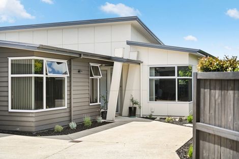 Photo of property in 31 Mickelson Avenue, Rototuna, Hamilton, 3210