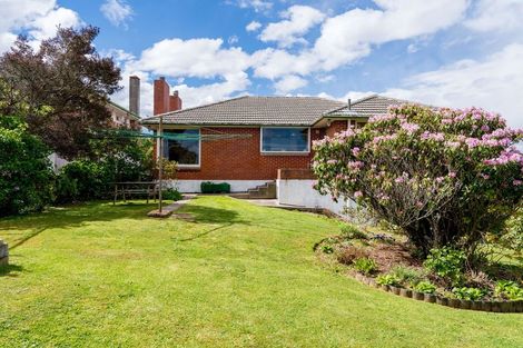 Photo of property in 61 Beresford Street, Wakari, Dunedin, 9010