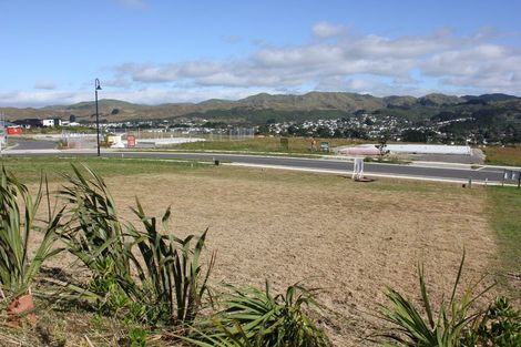 Photo of property in 207 John Burke Drive, Aotea, Porirua, 5024