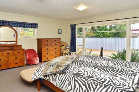 Photo of property in 227 Burnham Road, Burnham, 7600