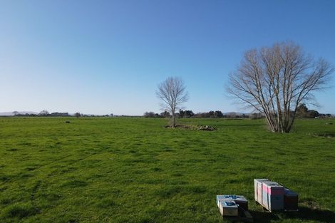 Photo of property in 77 Goodwin Road, Ohaupo, Cambridge, 3495