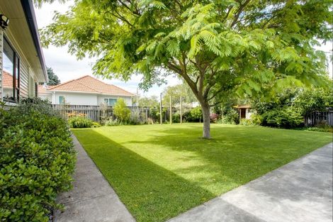 Photo of property in 510 Awatea Street, Akina, Hastings, 4122