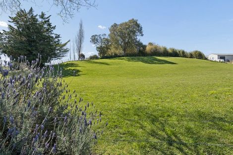 Photo of property in 1370 Glen Murray Road, Rangiriri, Tuakau, 2695