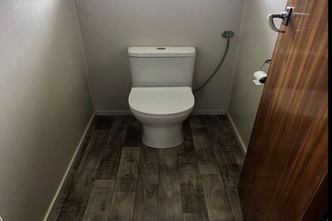 Photo of property in 5 Kensington Place, Fairfield, Hamilton, 3214