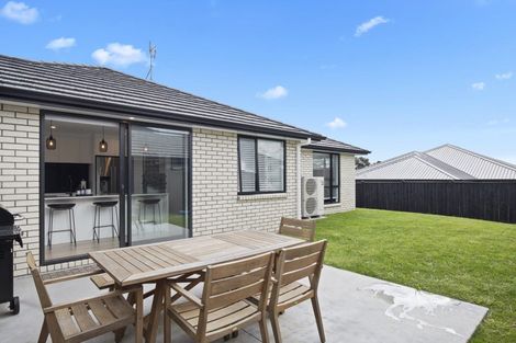 Photo of property in 13 Tabernacle Street, Karaka, 2124
