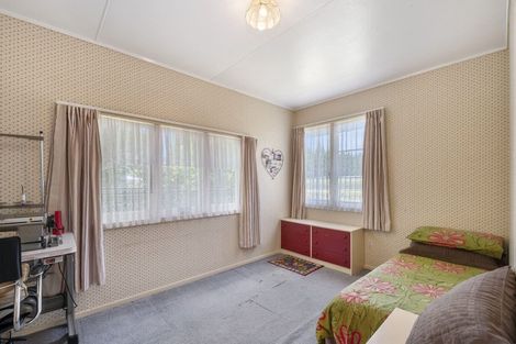 Photo of property in 33 Owhango Road, Owhango, 3990