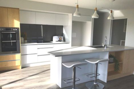 Photo of property in 28 Bonecrusher Street, Lincoln, 7608