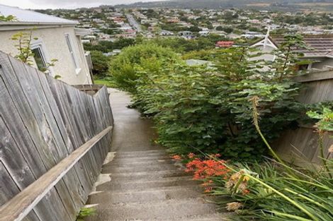 Photo of property in 21 Tyne Street, Roslyn, Dunedin, 9010