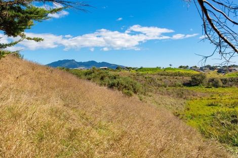 Photo of property in 91a Greenslade Road, Raglan, 3295