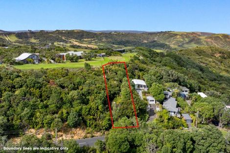 Photo of property in 119 Waitea Road, Muriwai, 0881