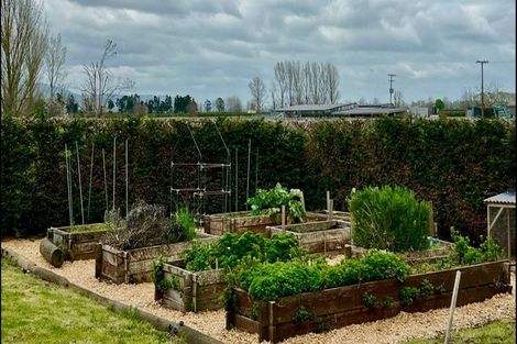 Photo of property in 574 Wardville Road, Wardville, Waharoa, 3474