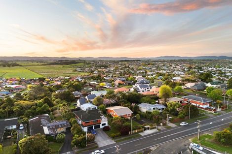 Photo of property in 107 Newcastle Road, Dinsdale, Hamilton, 3204