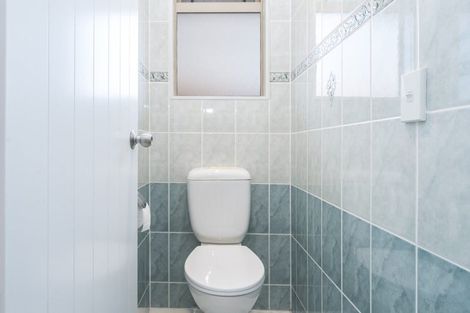 Photo of property in 38 Semillon Avenue, Henderson, Auckland, 0612