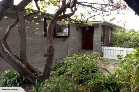 Photo of property in 214 Condell Avenue, Papanui, Christchurch, 8053