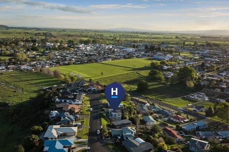 Photo of property in 15 Ohinemuri Place, Paeroa, 3600