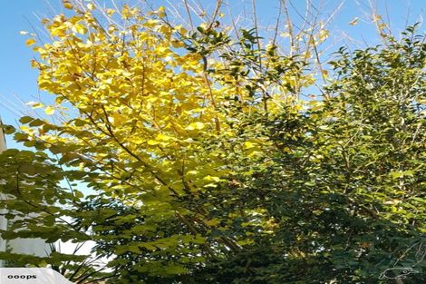 Photo of property in 9 Fowlers Avenue, Frankton, Hamilton, 3204