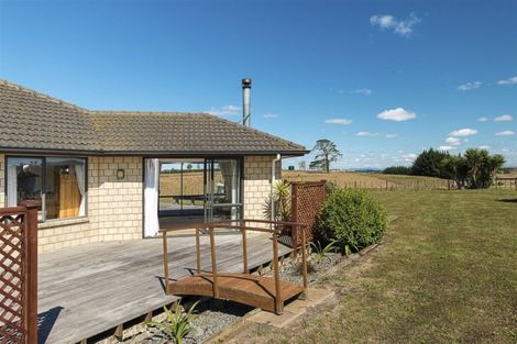 Photo of property in 315 Mercer Ferry Road, Mercer, Tuakau, 2696