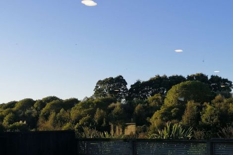 Photo of property in 46 Watkins Road, Cambridge, 3434