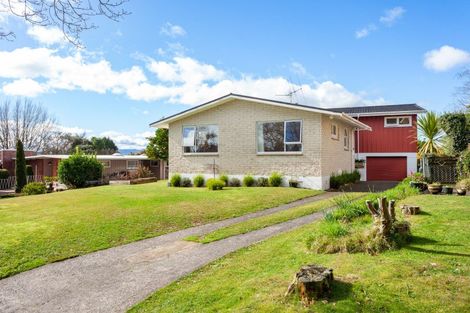 Photo of property in 147 Tirau Street, Putaruru, 3411