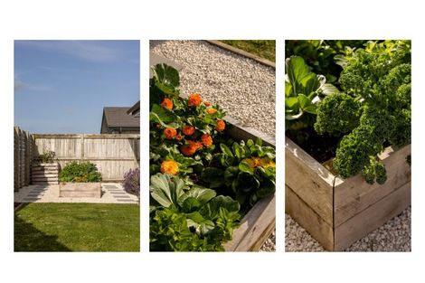 Photo of property in 6 Doyle Lane, Pyes Pa, Tauranga, 3112